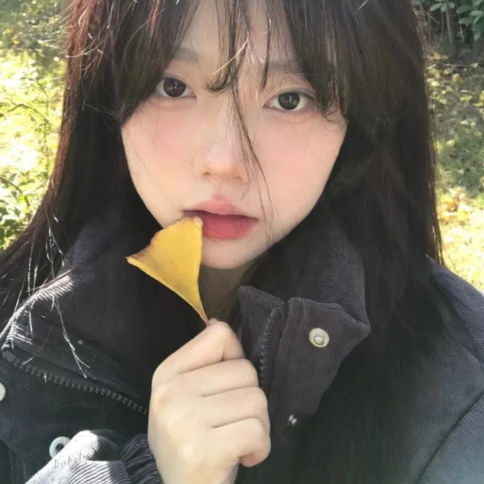 最美丽的安排 海报